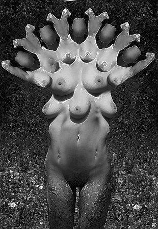 Upper Ventral Region of the Human Torso
