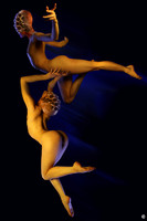 Flight