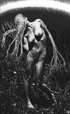 Morlock
