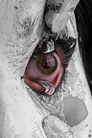 Innocence Lost