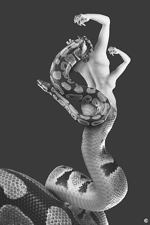 Lamia